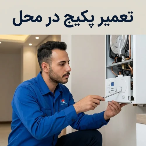 تکنسین در حال تعمیر پکیج بوتان در محل